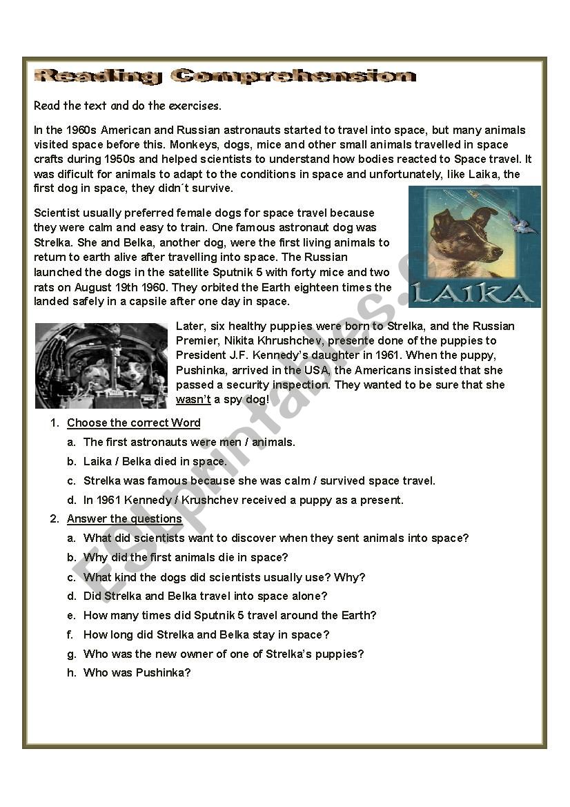 Reading Comprehension worksheet