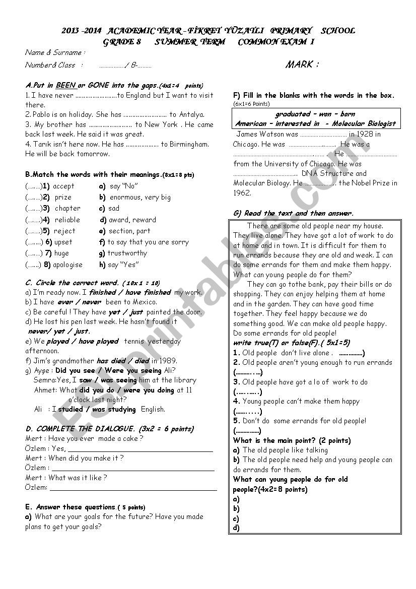 grade 8 exam  worksheet