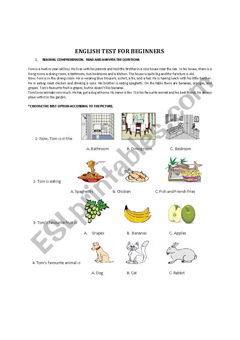 ENGLISH TEST FOR BEGINNERS worksheet