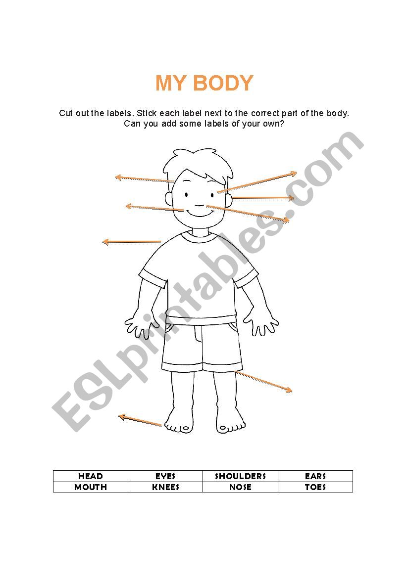 My Body Label worksheet