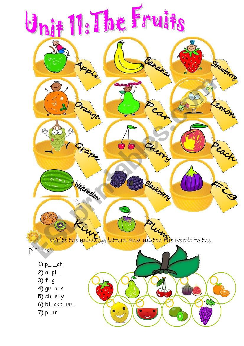 Fruits worksheet