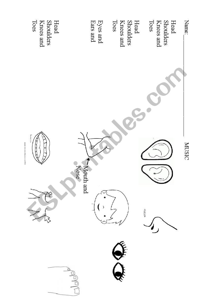 Head Shoulders Knees and tous worksheet