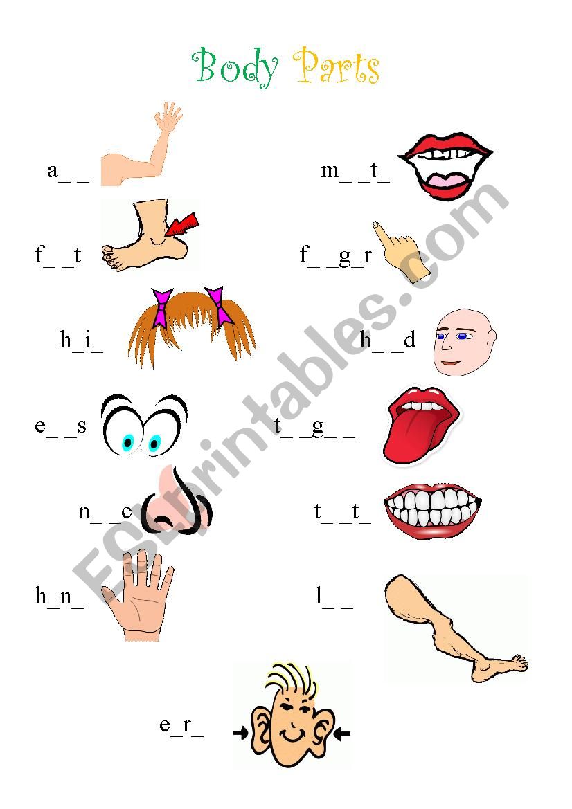 Body Parts worksheet