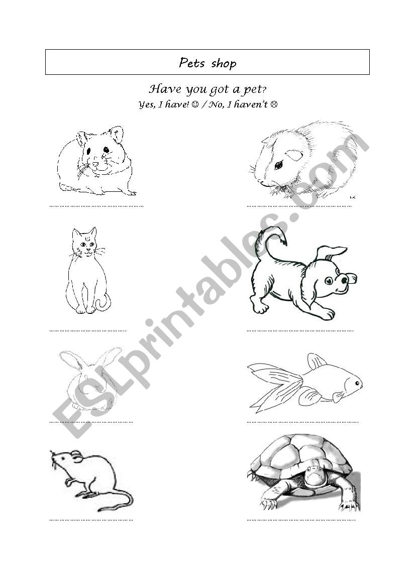 Pet shop  worksheet