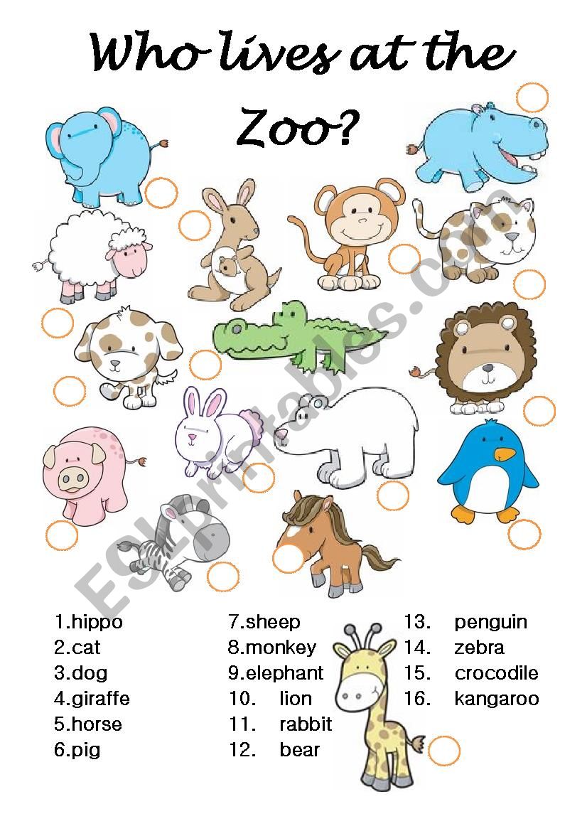 Who lives at the Zoo worksheet