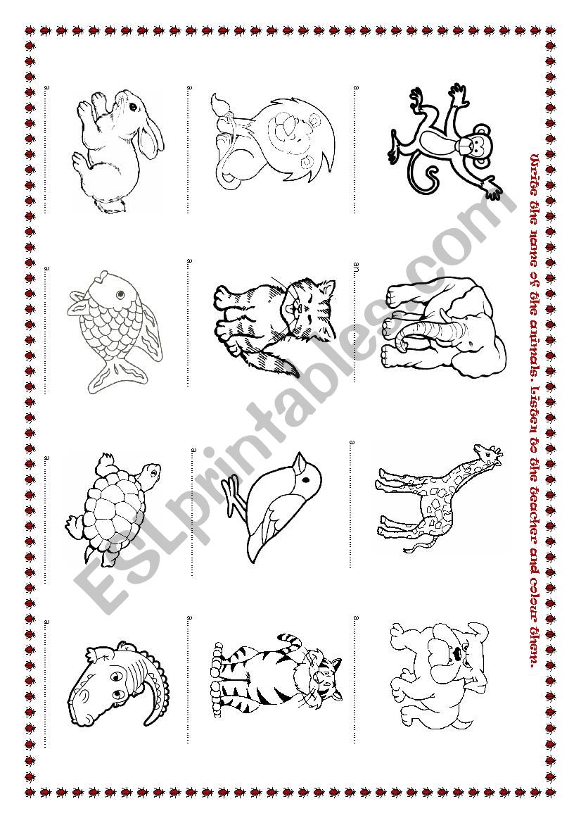 Animals for begginers worksheet