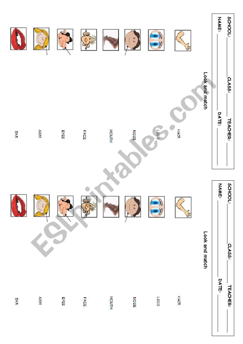 Vocabulary: face worksheet