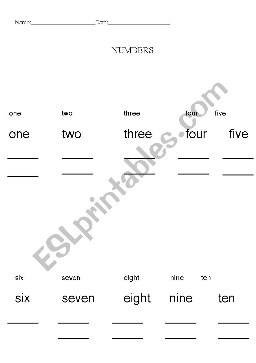 numbers worksheet