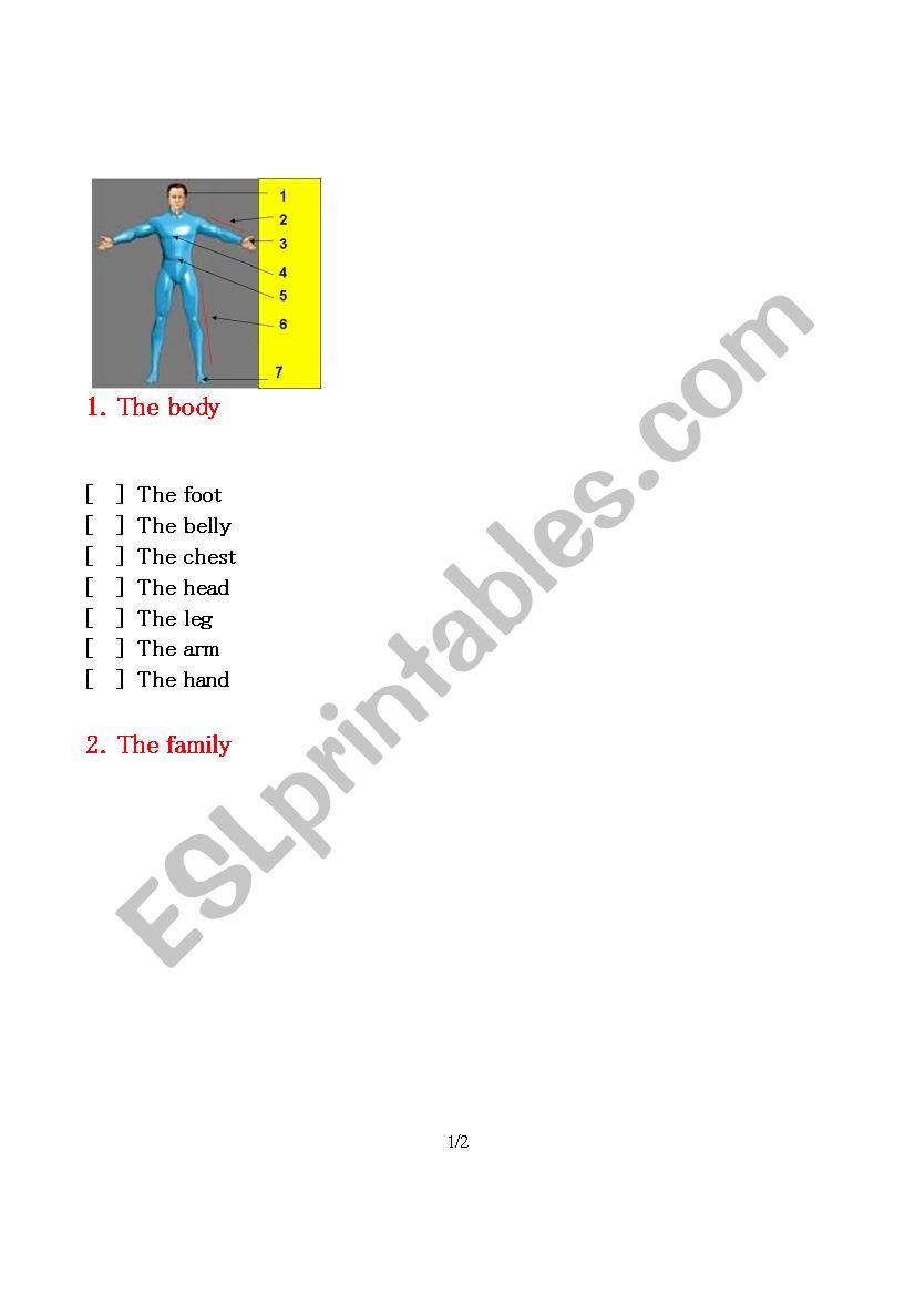 Vocab Practice (Body/Family) worksheet