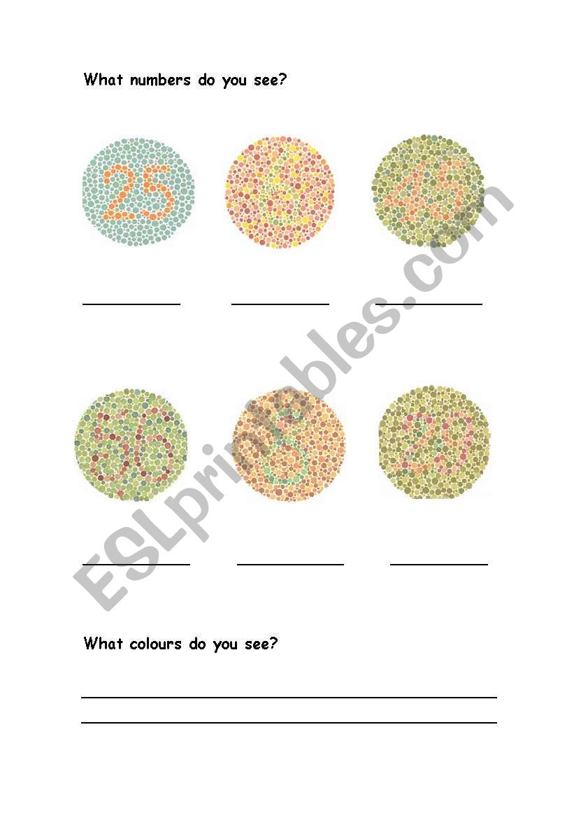 Colours and numbers worksheet