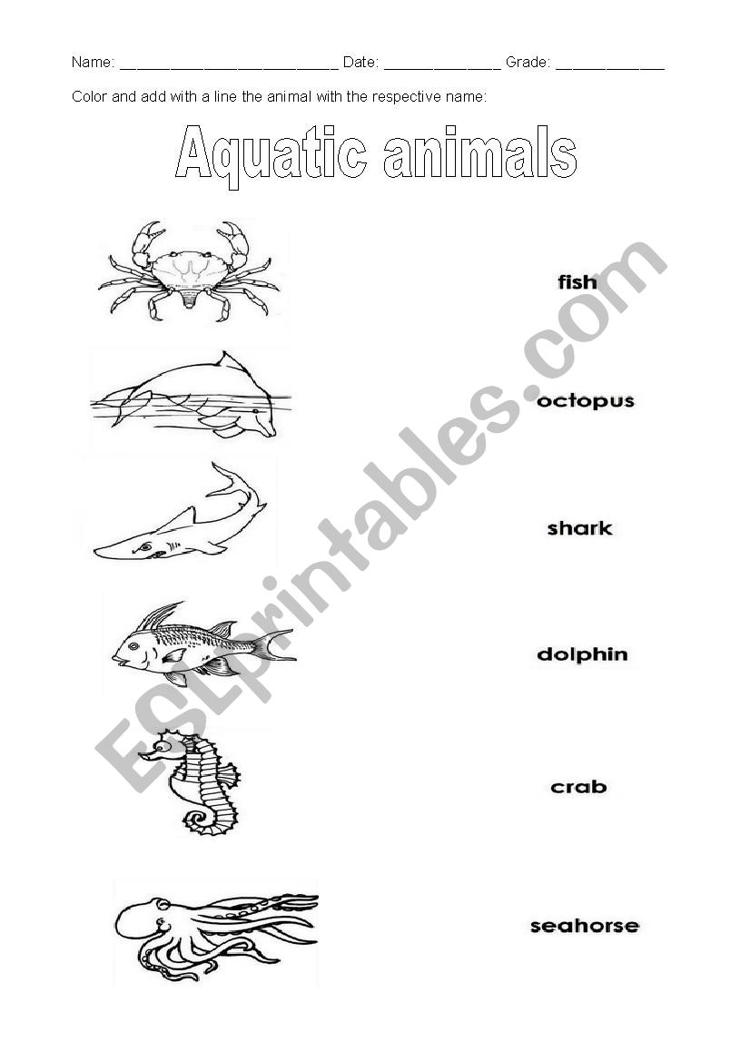 Aquatic animals worksheet