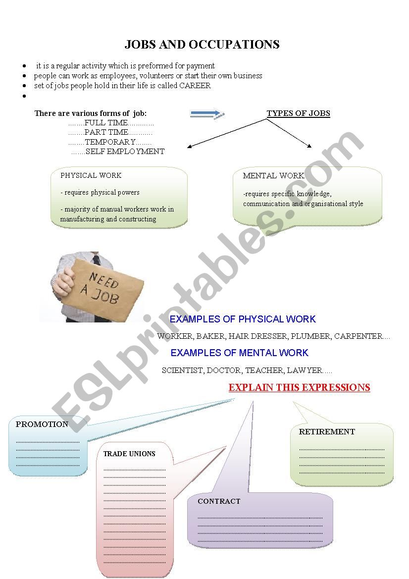JOB AND OCCUPATION worksheet