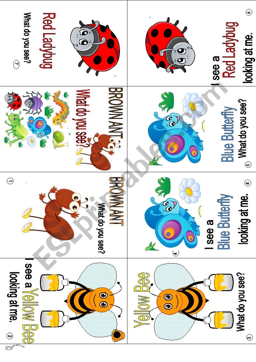 Brown Ant story  worksheet