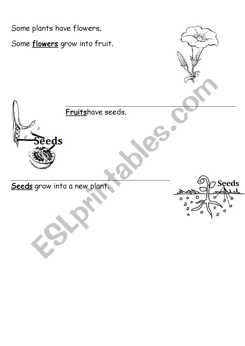Plant Parts functions for grade 1