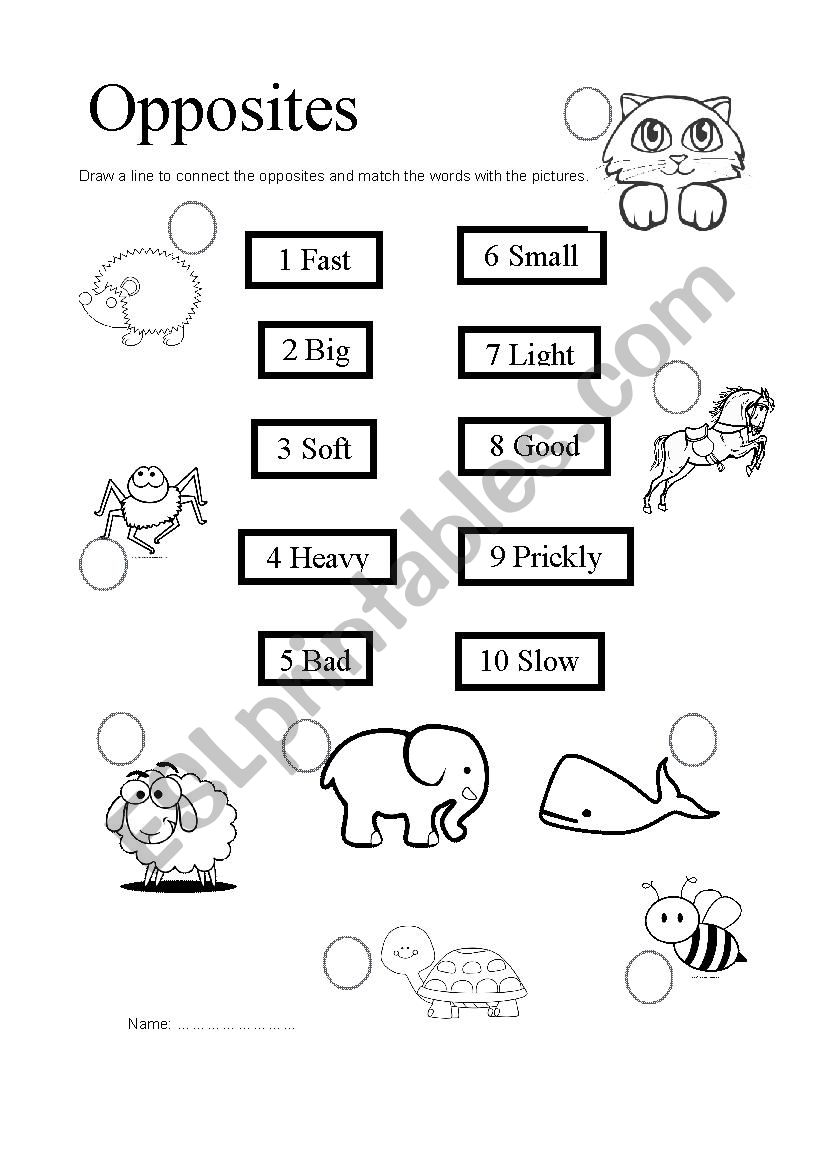 Opposites Matching worksheet