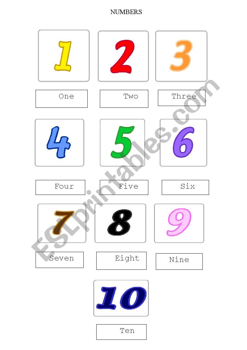 Numbers worksheet