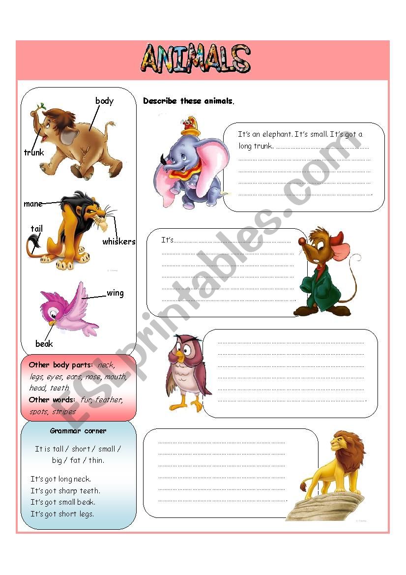 Animal body parts worksheet