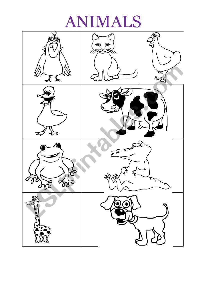 Animals World worksheet