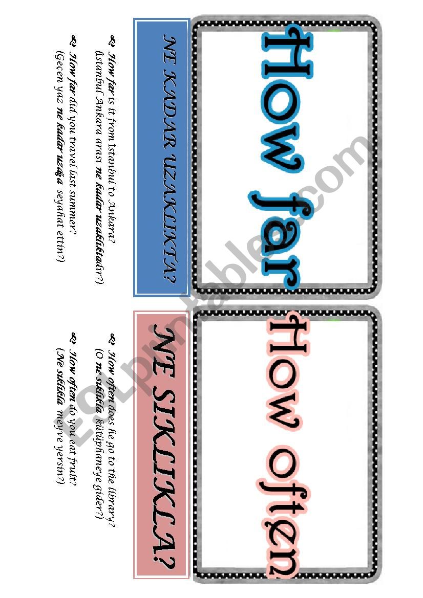 Question Words  worksheet