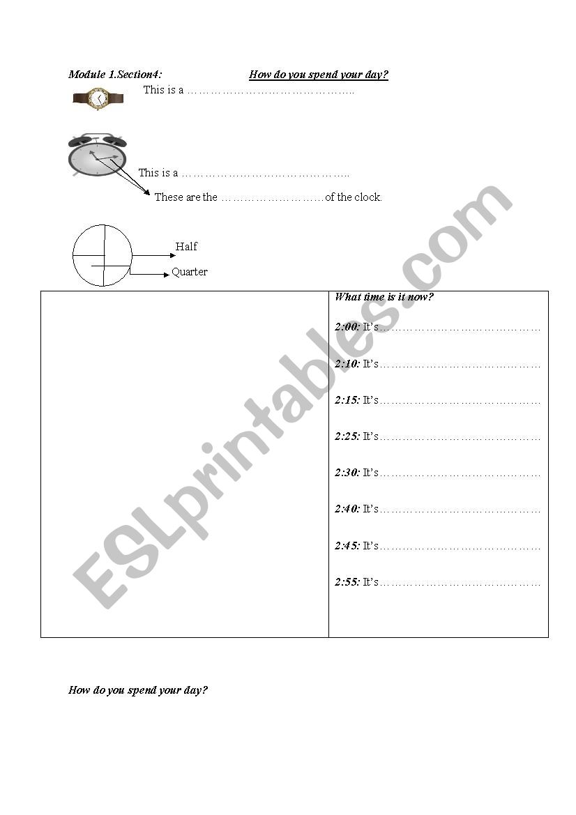 daily routines worksheet