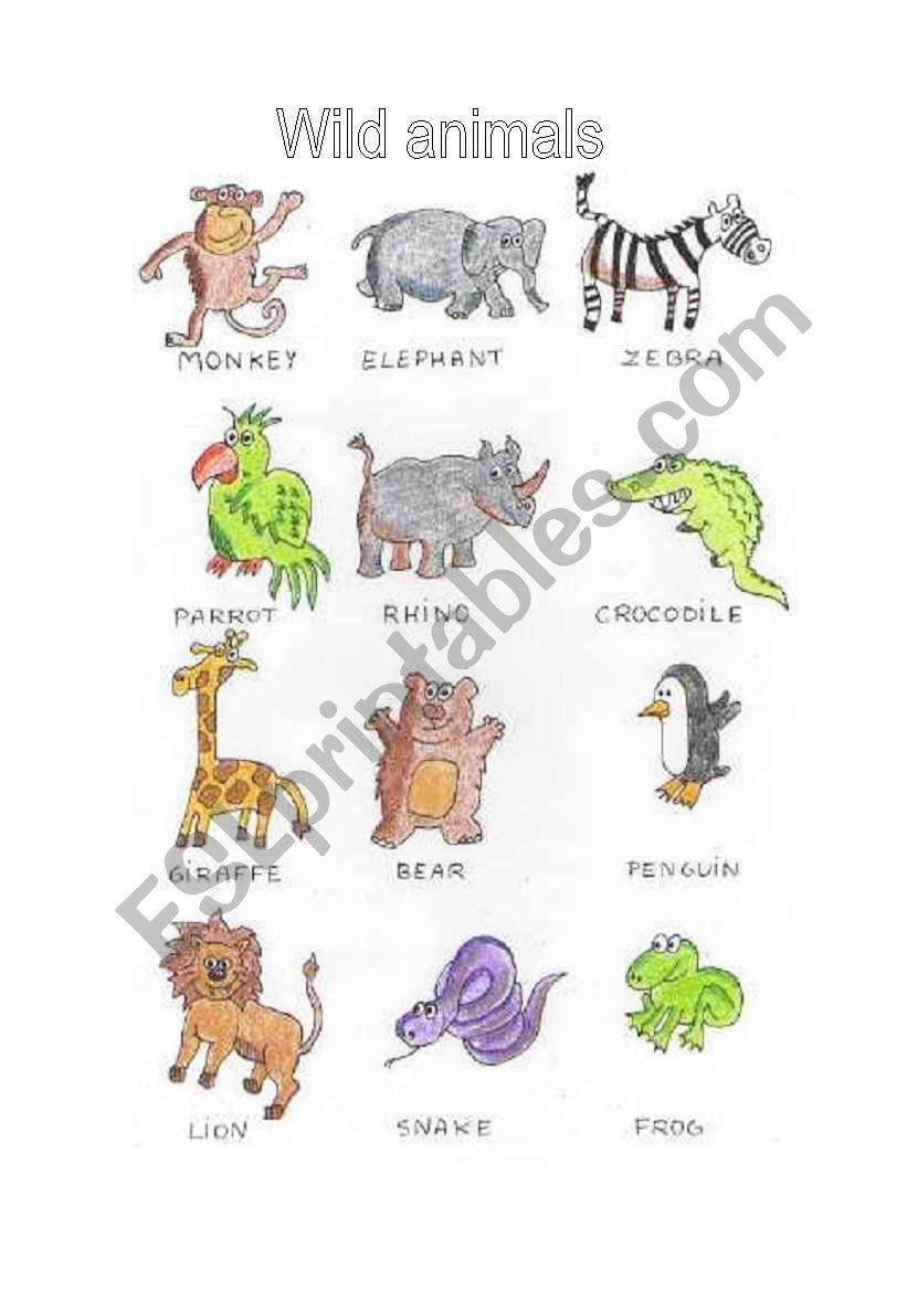 Wild animals picture dictionary