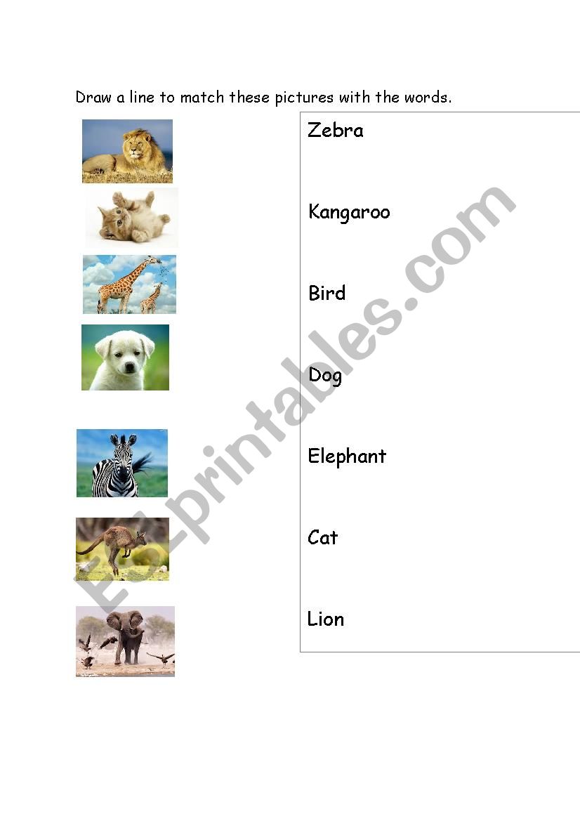 Animals worksheet