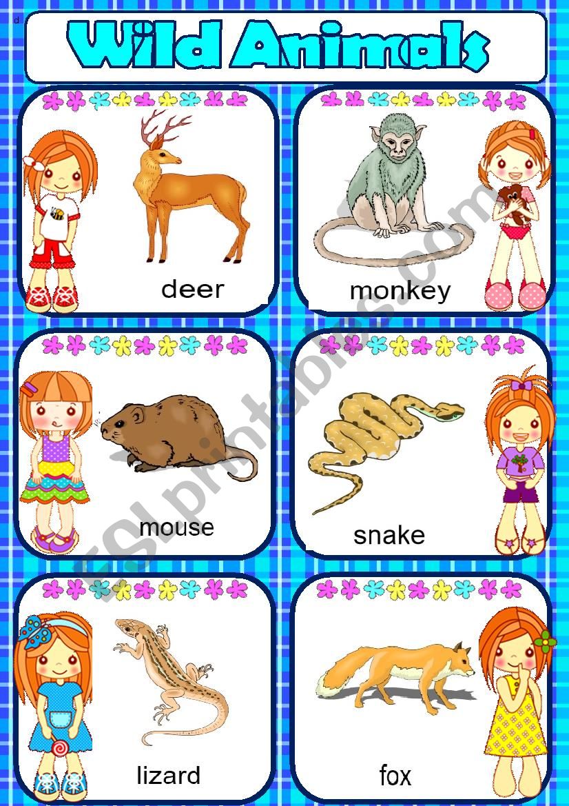 Wild animals-part2 worksheet