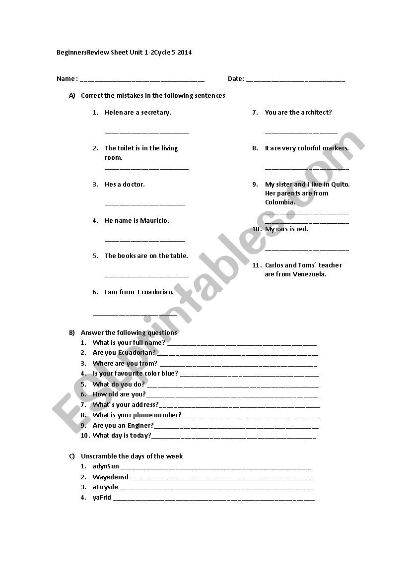 Review sheet Beginners  worksheet