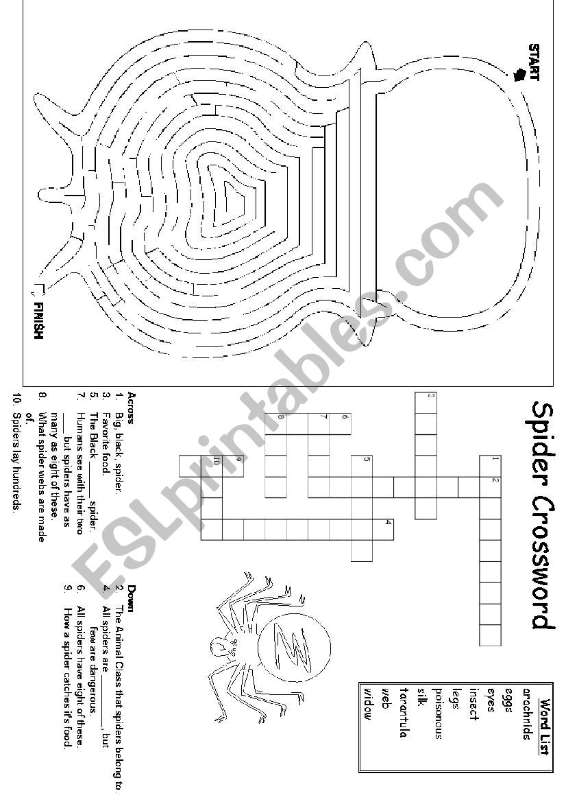 Halloween activities worksheet