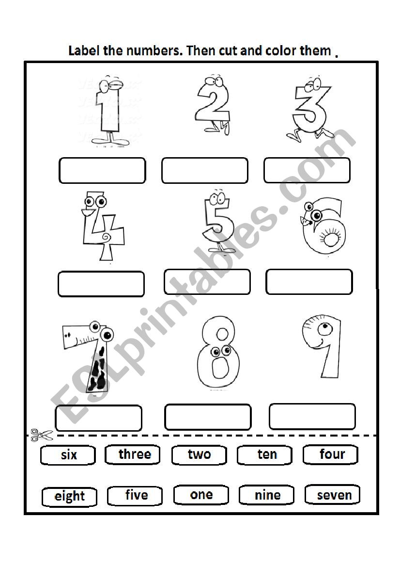 Numbers Worksheet worksheet