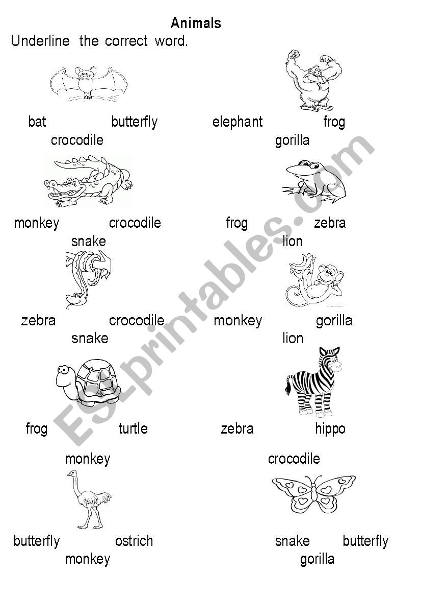 Animals. Vocabulary worksheet
