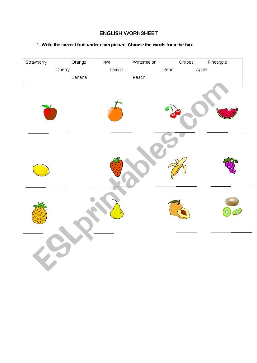 Food and drink worksheet