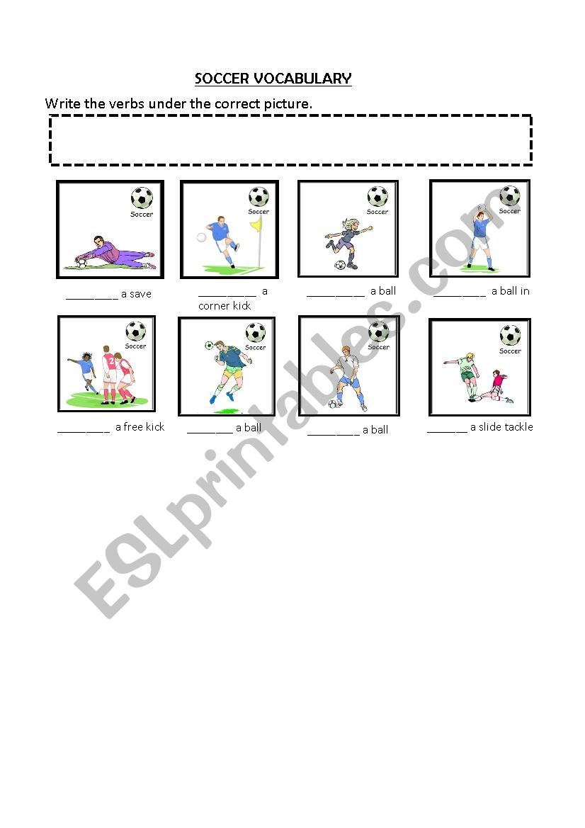 Soccer Vocabulary worksheet