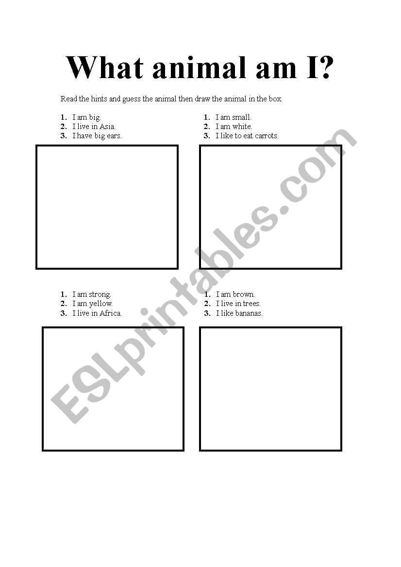 3 questions, animals worksheet