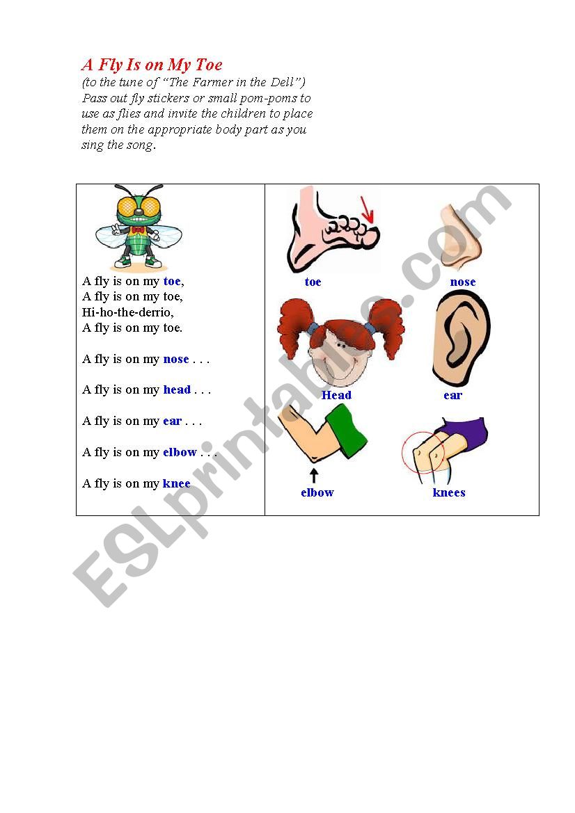 BODY PARTS SONG (illustrated and with actions)