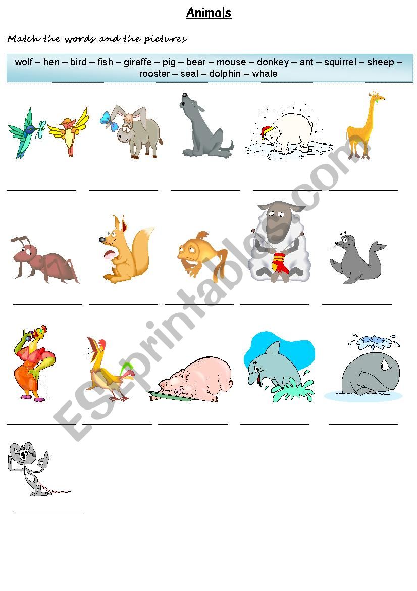 Animals worksheet