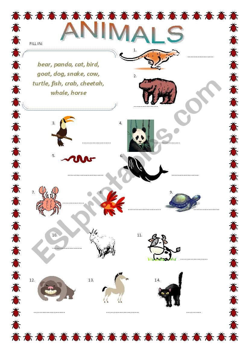 Animals matching, superlative adjectives crossword 2 pages