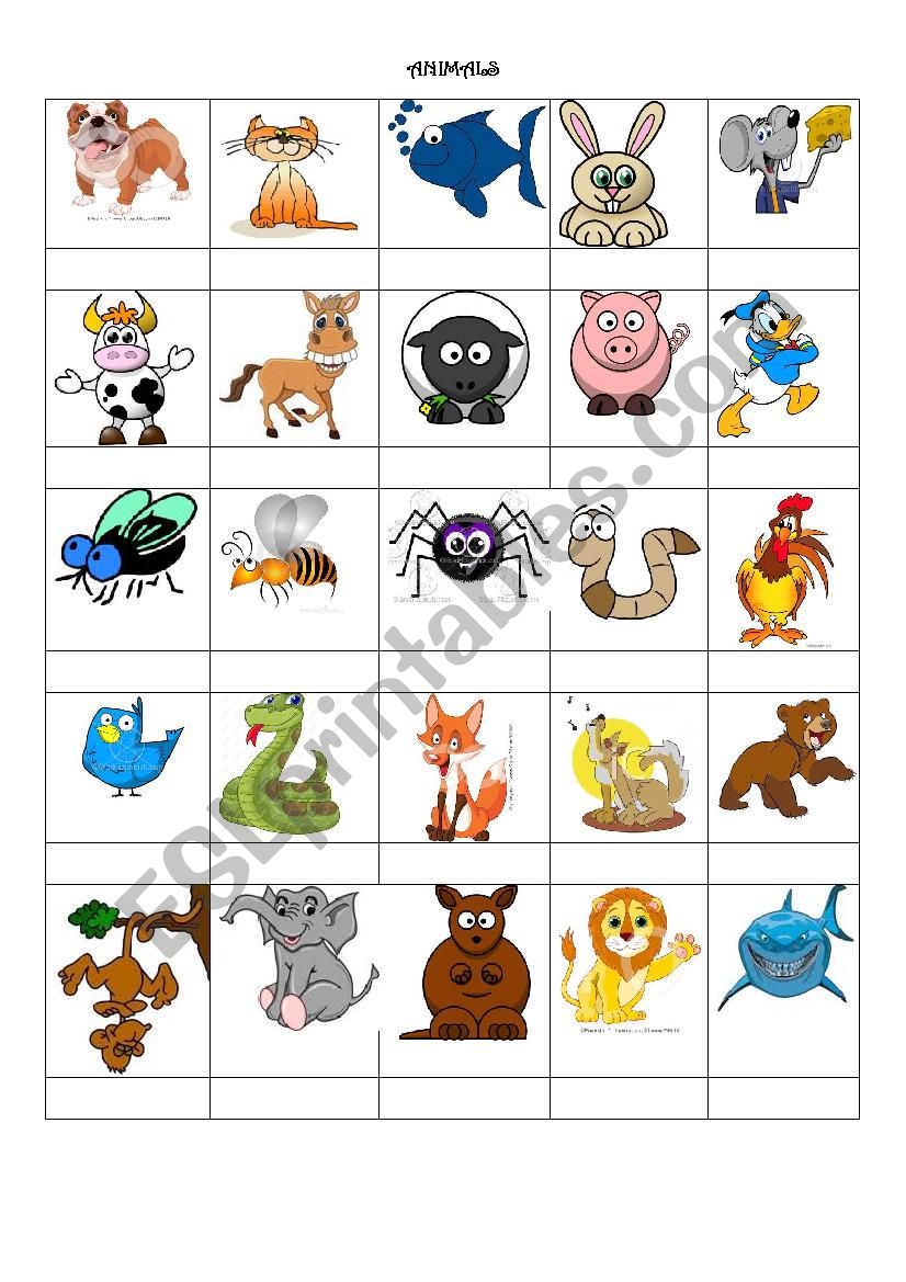 ANIMALS worksheet