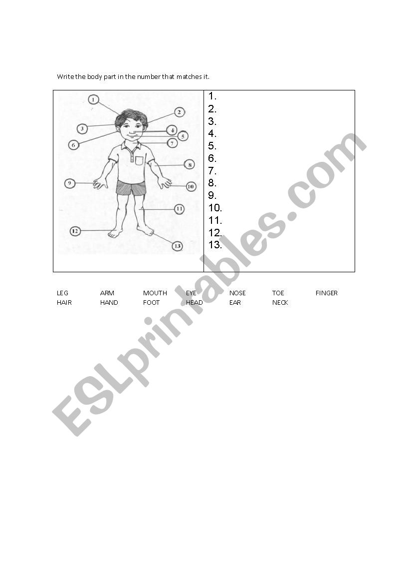 Body parts exercise worksheet