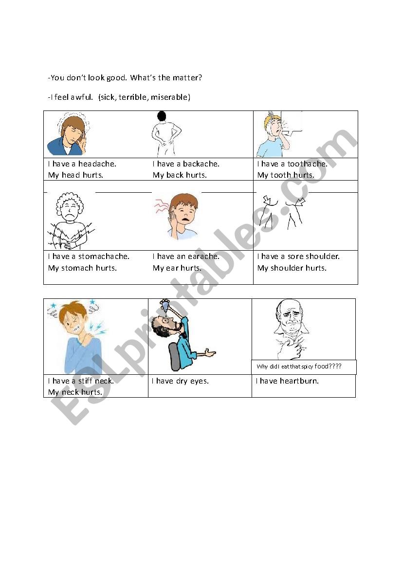 body health vocab worksheet