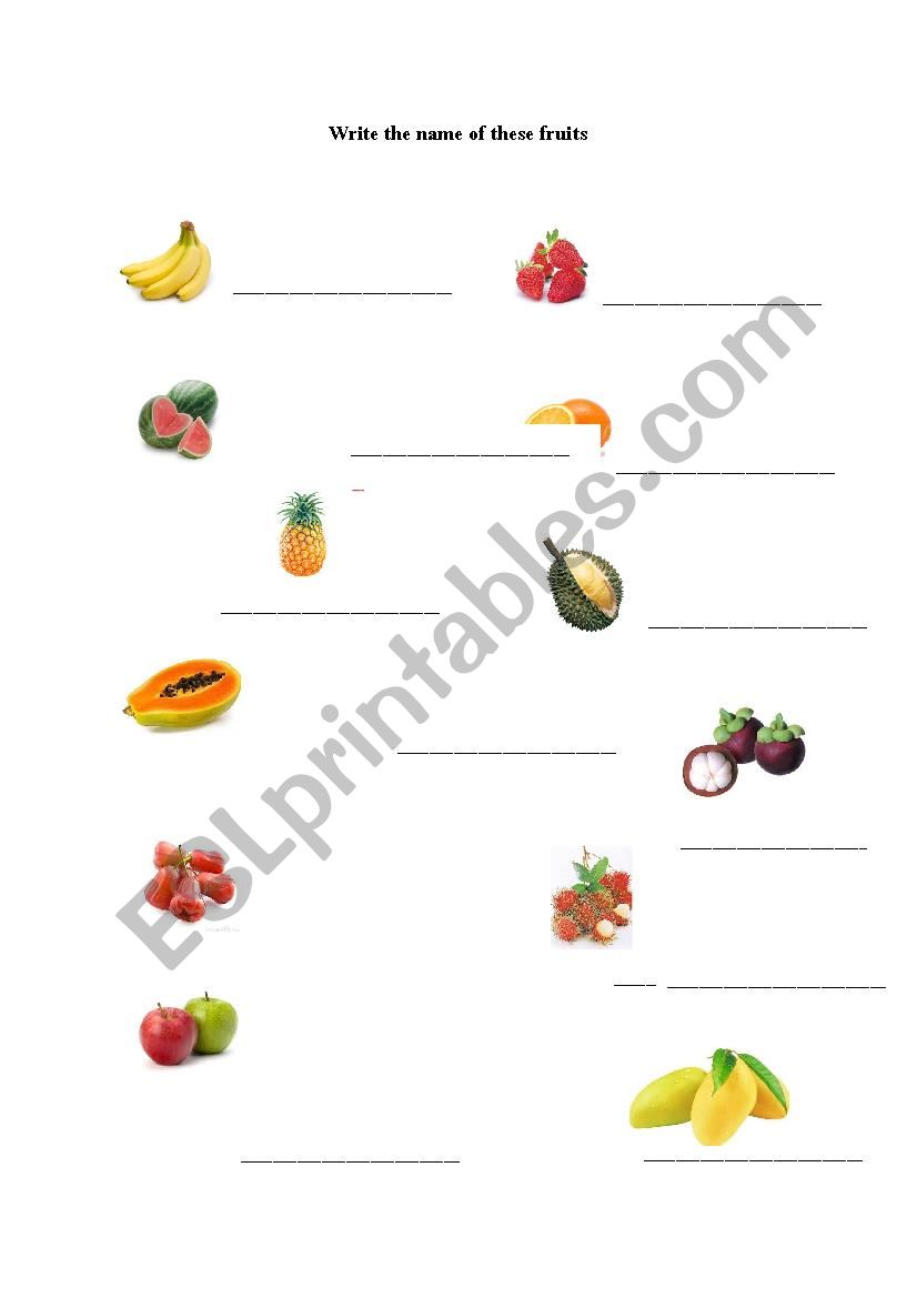 fruits worksheet