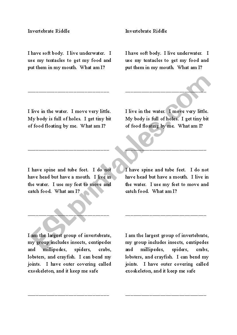 invertebrate riddle worksheet