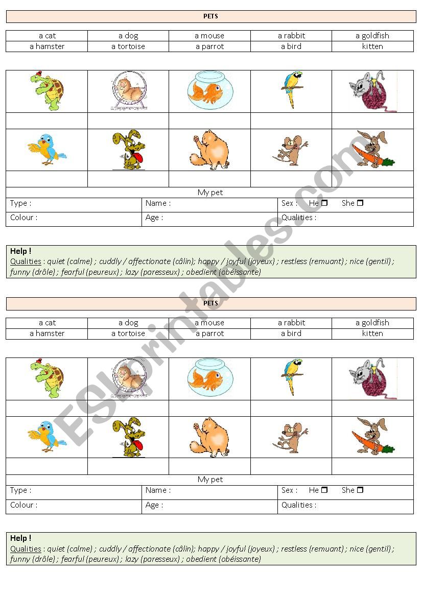 my pet worksheet