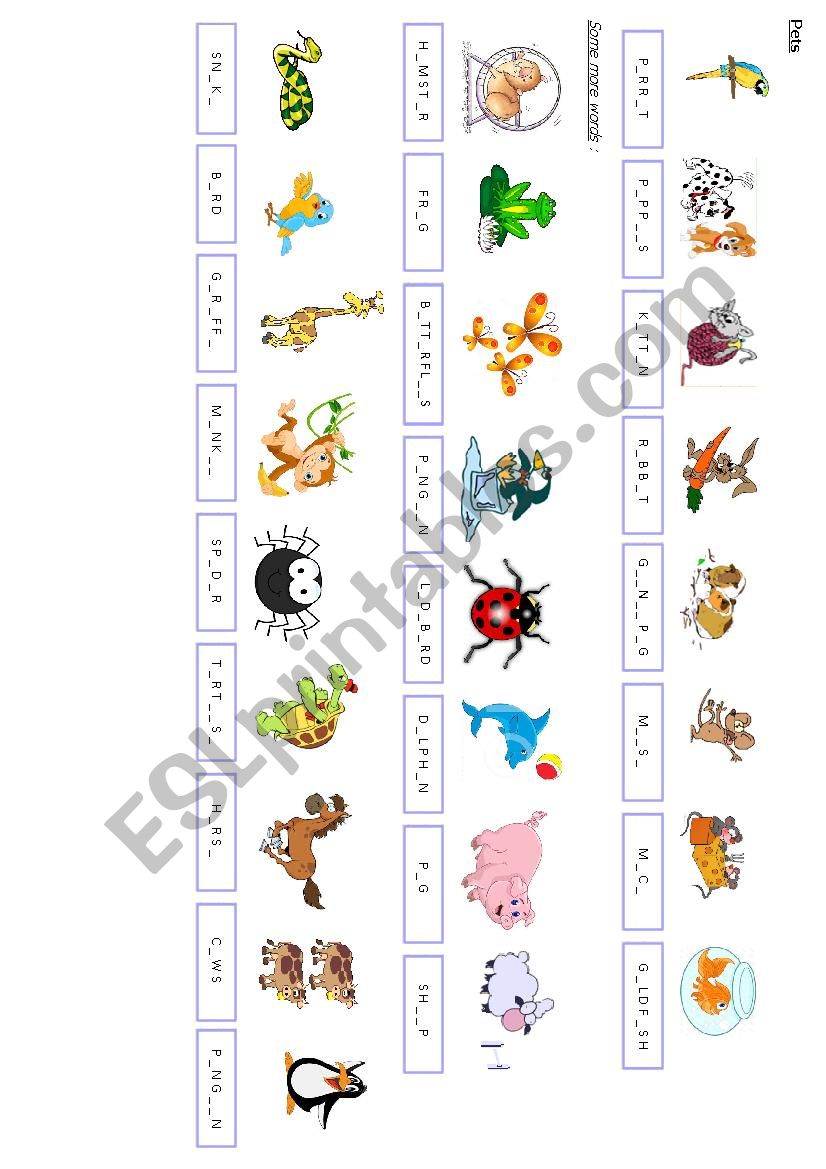 pets worksheet