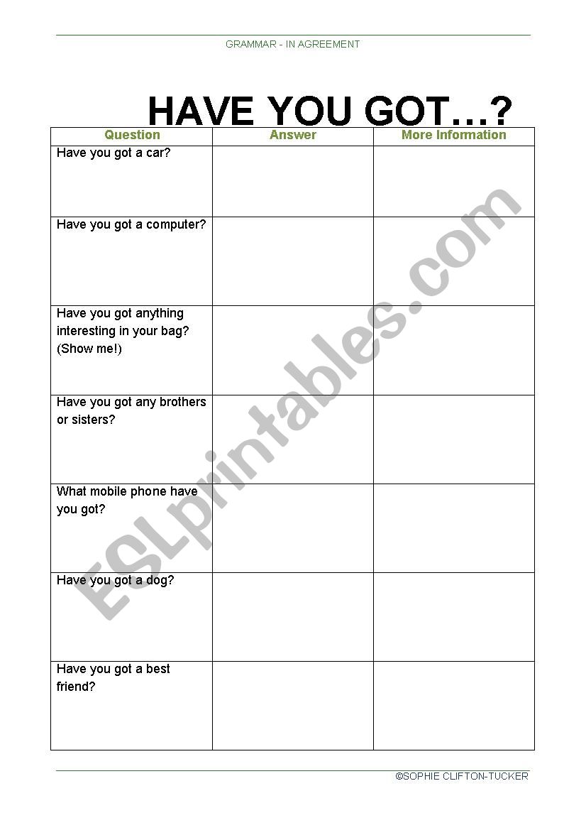 Have You Got? worksheet