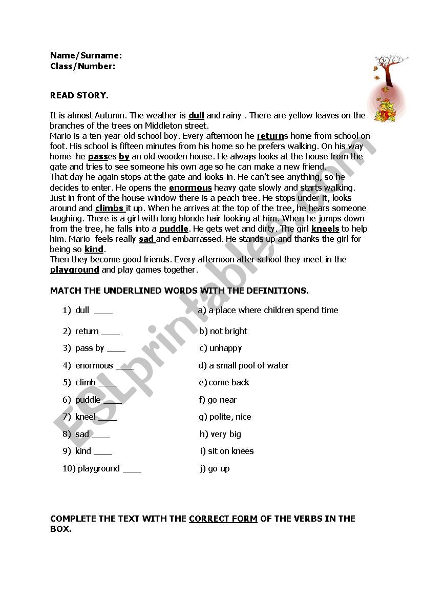 Verb Tenses worksheet