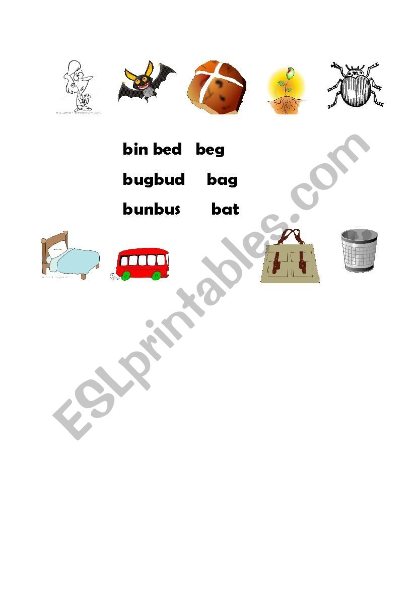 CVC words B worksheet