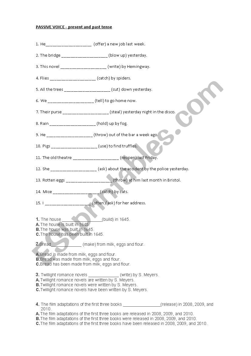 present and past passive worksheet