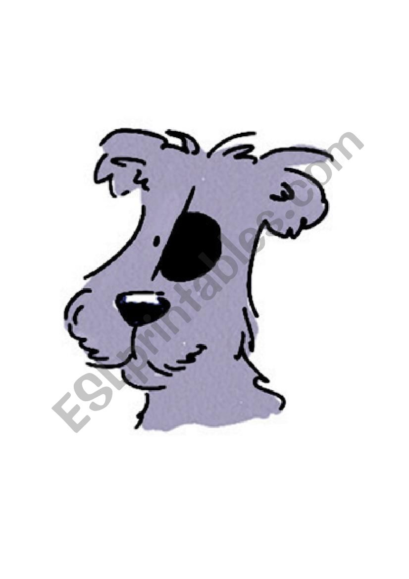 Animals worksheet