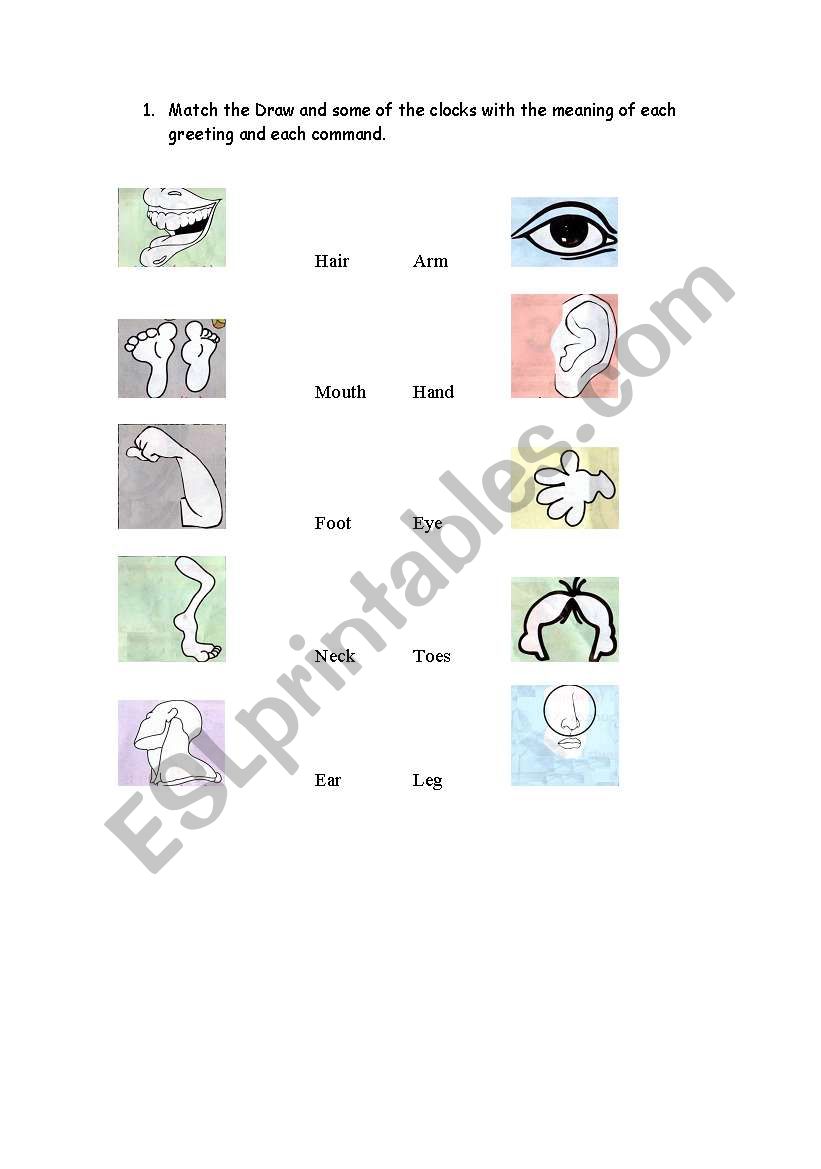 match, body parts worksheet